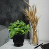 Watering Hydroponic Flower Pot with Self-Watering Design for Office Bonsai Succulents
