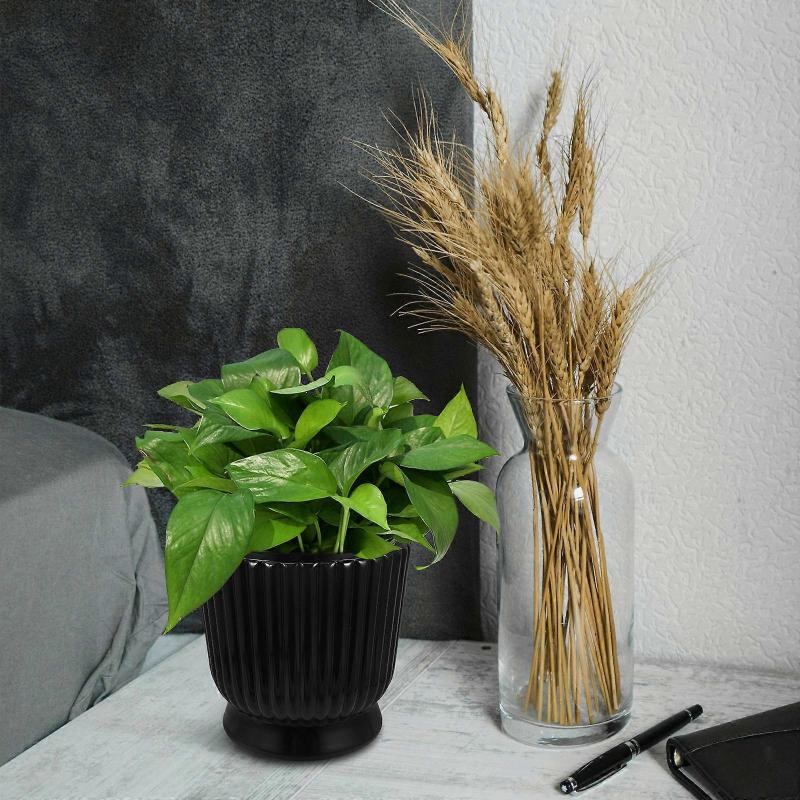 Watering Hydroponic Flower Pot with Self-Watering Design for Office Bonsai Succulents