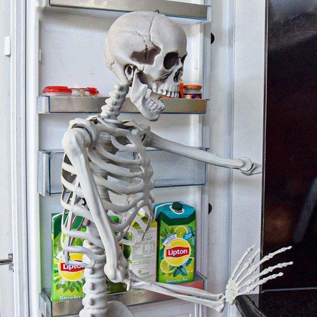 Szkielet człowieka model kościotrup halloween 170cm kostium dekoracje