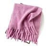 Autumn and winter wool hippocampus hair scarf women's versatile high-end sense thickened warm scarf solid color scarf shawl
