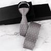 Knitted Fabric Knitted Tie Zipper Closure Flat Head Tie Fashion Automatic Zipper Tie  Dress Shirts