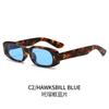 New Fashionable Women Sunglasses Trendy Micro Frame UV Protection Stylish Shades for Women Outdoor