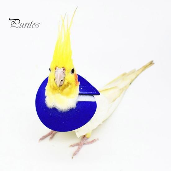 Adjustable Parrot Recovery Collar Anti-Biting Injury Protection Fastener Tape Fixing Bird Collar Pet Bird