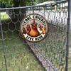 Vintage Metal Chicken Wall Sign Cool Chicks Here Farmhouse Decor Plaque