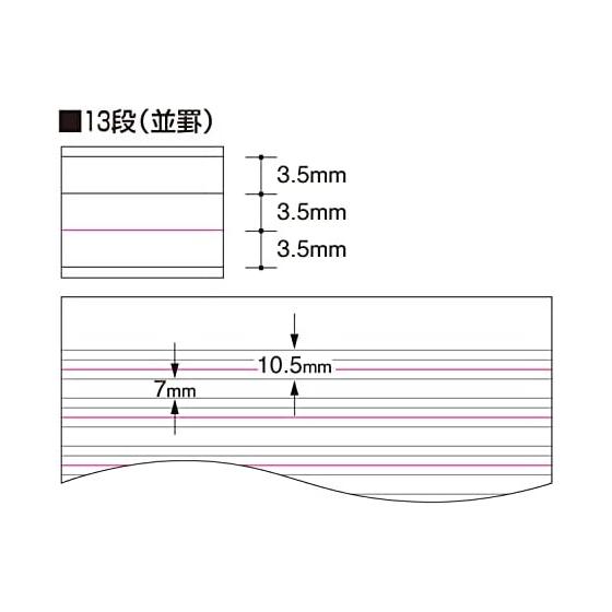 KOKUYO Campus Soft Ring Notebook English Study Book B5 13 Tier Green Set of 2 S-S810F13X2SET
