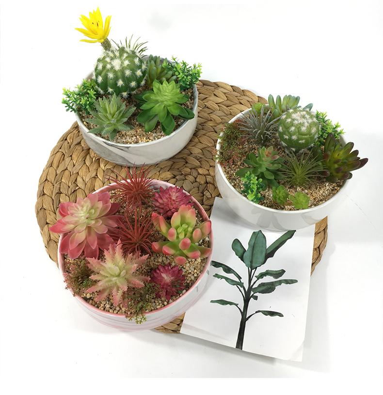 Huashe Red Air Succulent: Creative Faux Green Plant for Home Décor