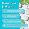 NeuroGum Energy Caffeine GUM (Mint Flavored Caffeine Sugar) - Suitable for Men and Women