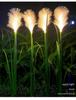LED Solar Reed Garden Light for Outdoor Decor
