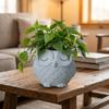 Ceramics Succulent Pot Cute Cactus Pot Unique Owl Planter  Balcony