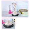 LED Lamp Glass Cover Rose Flower Micro Landscape Decorative Light Christmas Gift