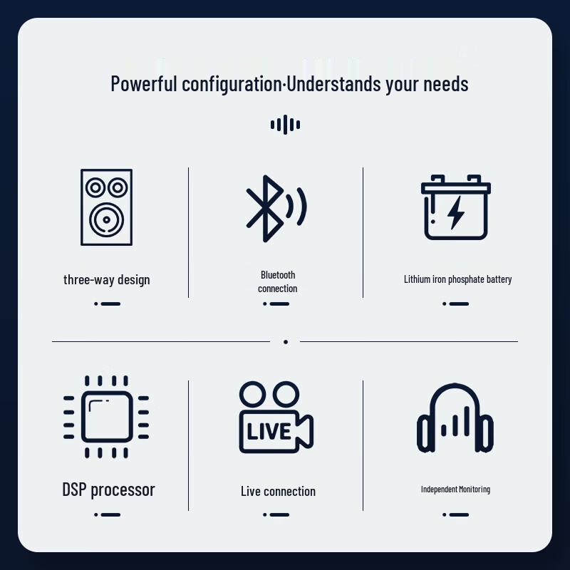 SAST Portable Karaoke Bluetooth Speaker with Dual Microphones CN plug (adapter included)