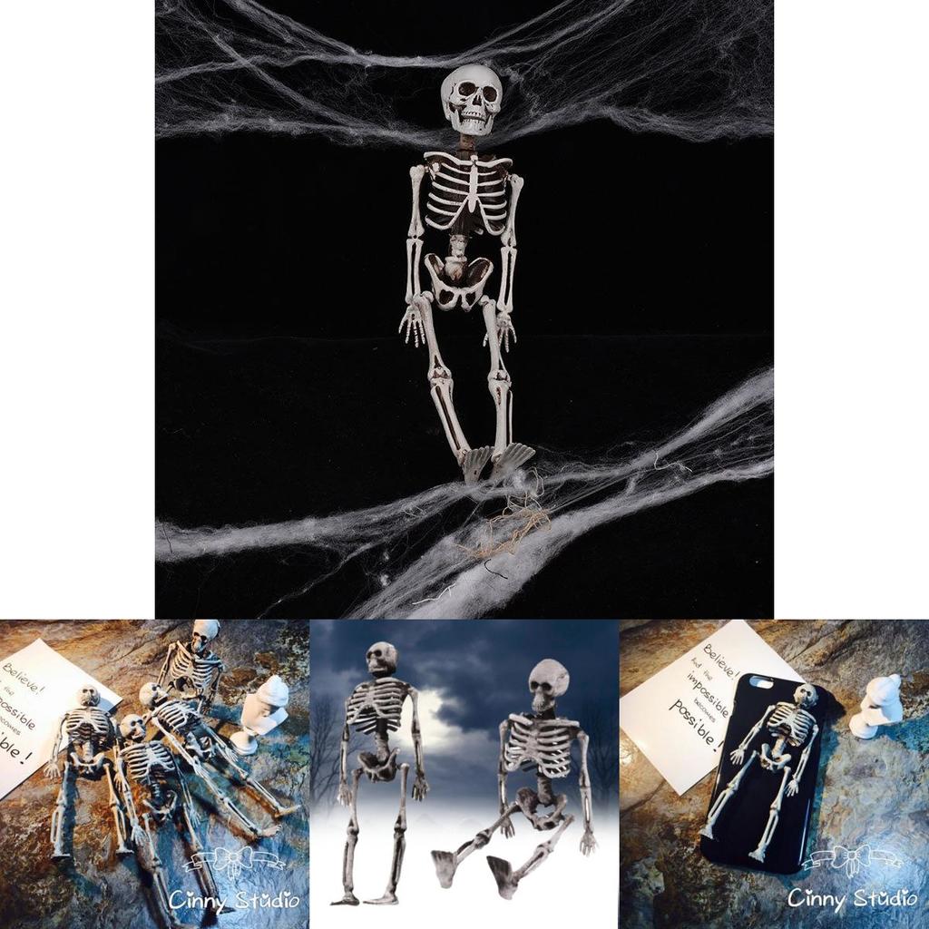 Mini Skeleton 15cm Realistic Decoration For Halloween Parties And Haunted Houses