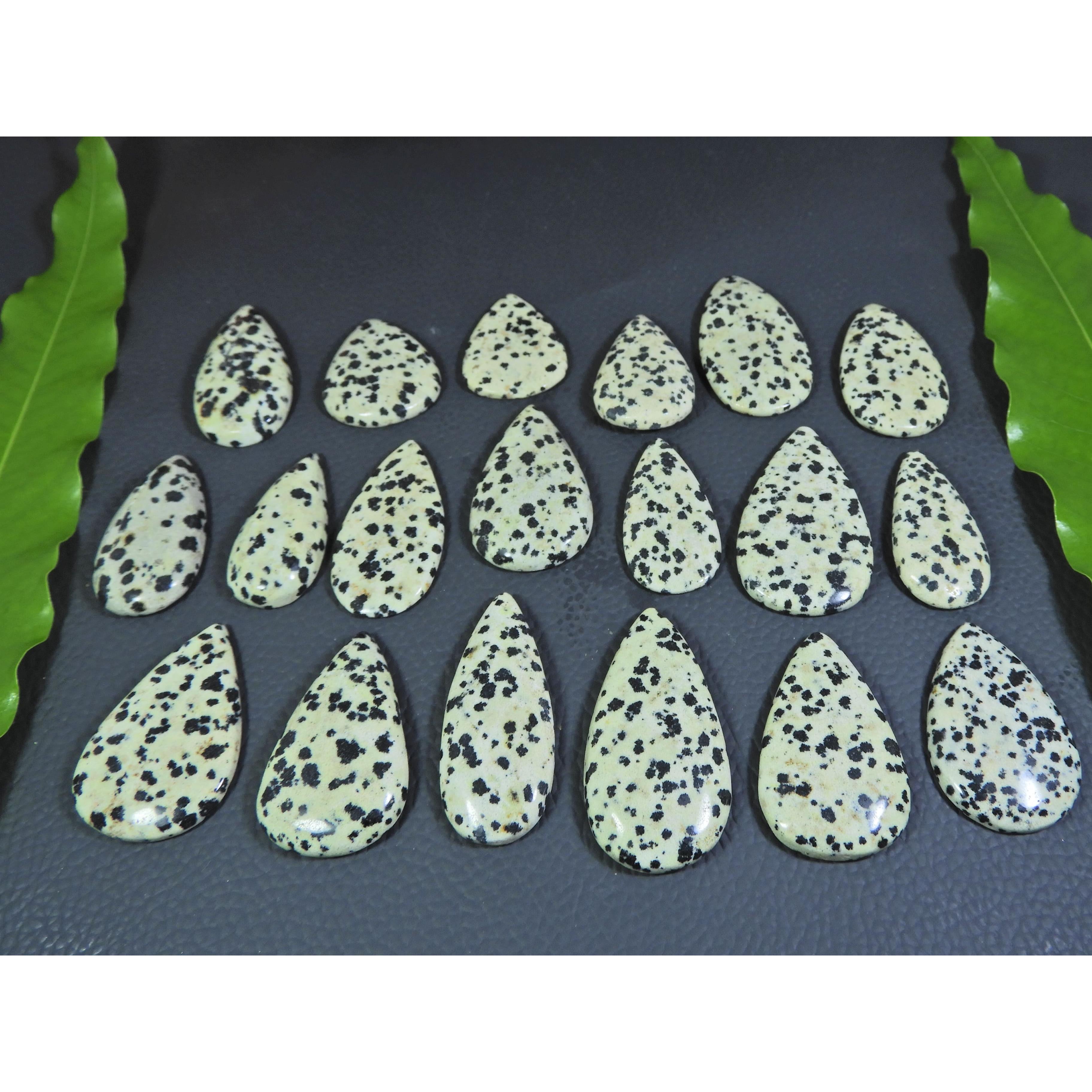 

505Cts. Натуральный Далматиновый Яшма Кабошон Груша Свободный Драгоценный Камень Лот 19 шт. A-375