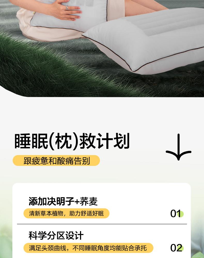 7A Antibacterial Cassia Seed Buckwheat Fiber Pillow