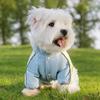 Autumn and winter pet clothes claws explorer three-proof four-leg charge cotton coat small dog Bichon dog clothes