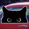 Funny Cat with Big Eyes Car Sticker Vinyl Waterproof Reflective Decal for Car Window Bumper Automotive Exterior Decor