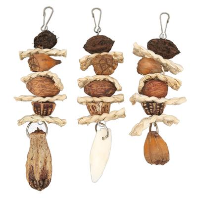 Parakeet Beak Stone Parrots Trimming Chew Toys Set Bird Nuts Cuttlebone Pet Supplies