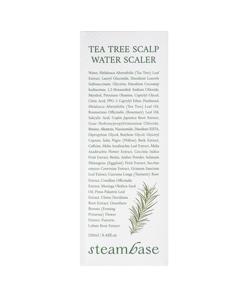 Solve Scalp Odor Problems: Tea Tree Scaler 250ml (2 Pieces)