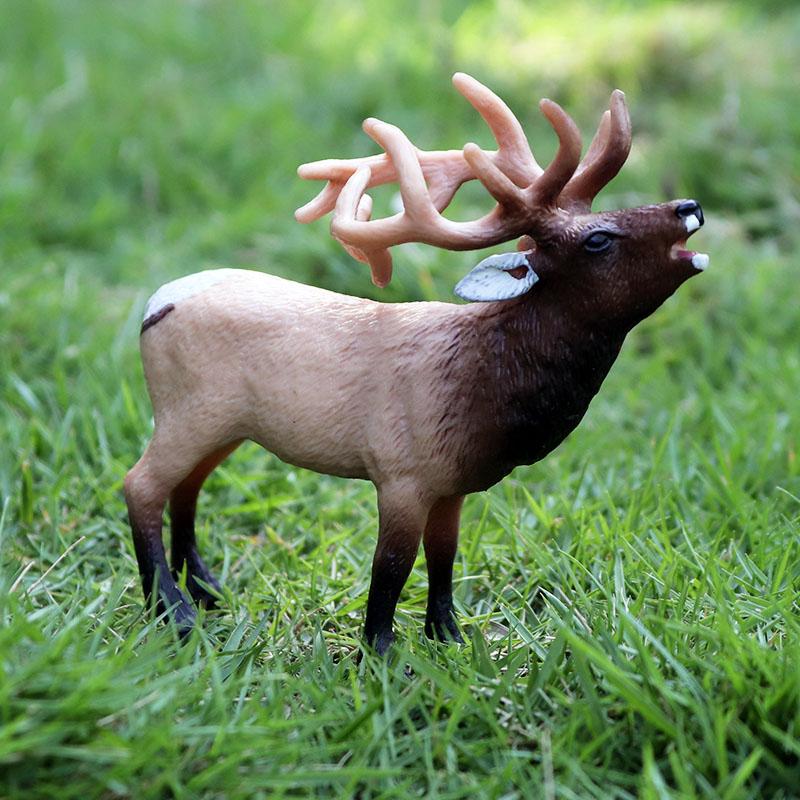 Oenux Simulation Wild Animals Toy Desert Camel Donkey Alpaca Antelope Elk Deer Model Action Figures PVC Decoration Kids Gift