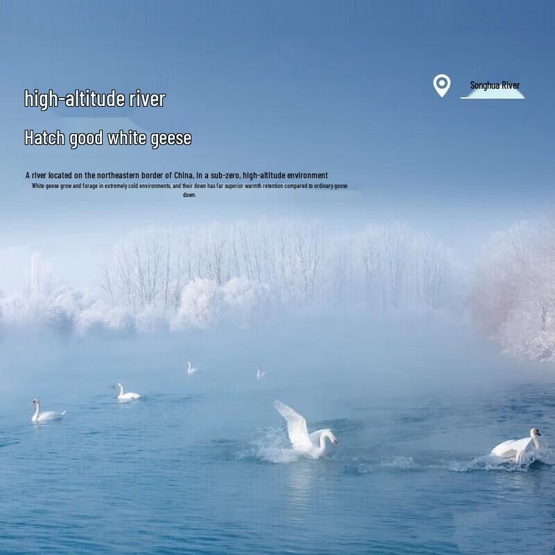 Mercury Home Textiles 95% White Goose Down Quilt