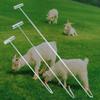 Sheep Catcher Grabber Farm Equipment Heavy Duty for Animals Garden Livestock