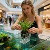 Plant Holder Aquarium Transparent Hangable Pot Cup Aquatic Plant Holder for Fish Tank Hydroponic System Indoor Home Cultivation