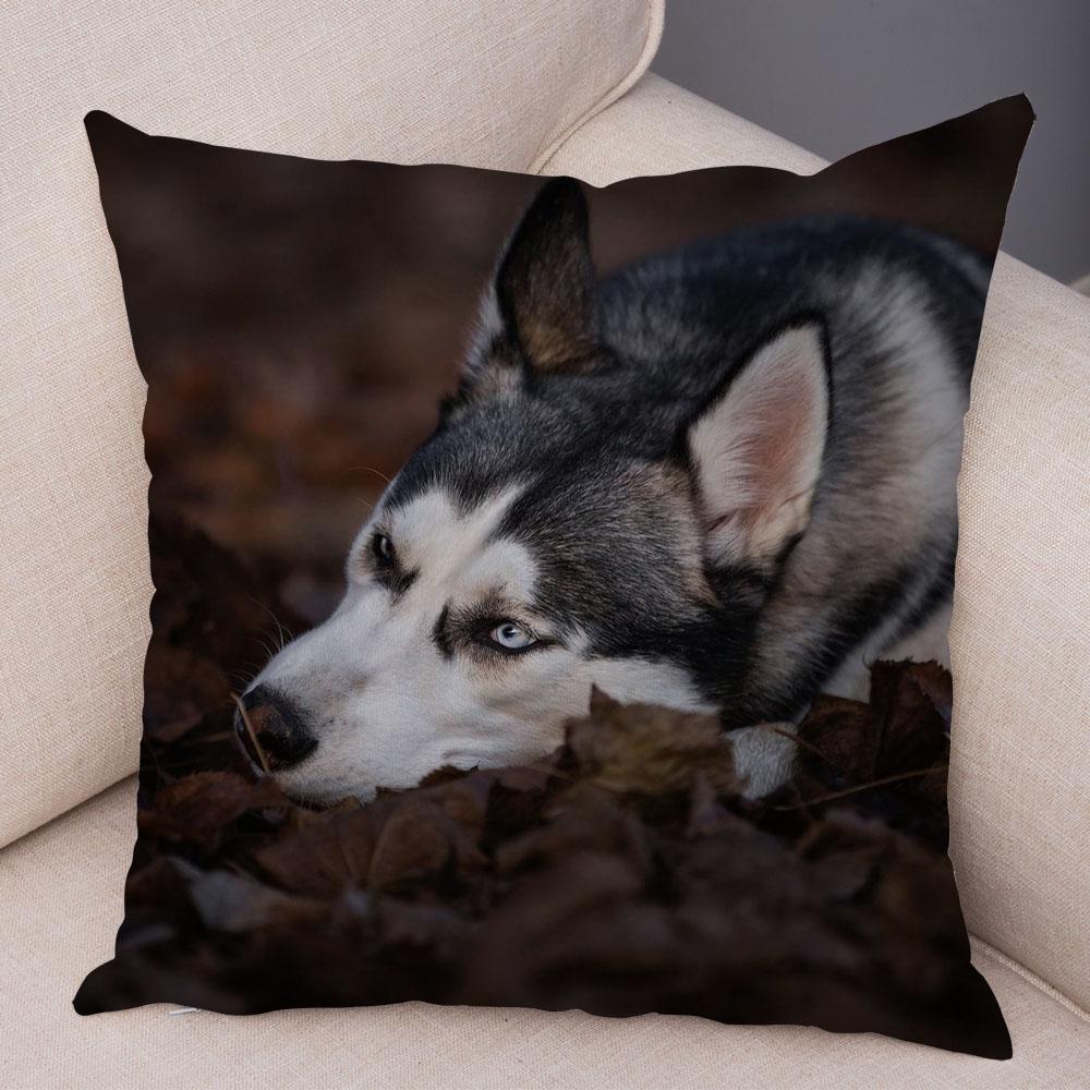 Pet Animal Sofa Cushion Cover Cute Siberian Husky Pillowcase Decorative Dog Print