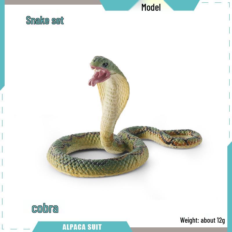 Reptile Simulation: Snake Wildlife Toy - Children's Cognitive Decor Model
