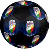 SIZE 5 FC Viktoria Plzeň Soccer Ball Colorful All Ages Machine Stitched PVC Competition Ready Durable High-Bounce