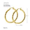 18K Stainless Steel Twisted Hoop Earrings for Women - European American Fashion, Simple Titanium Style