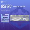 Hyeku Q5 Pro 108-Key Tri-Mode Wireless Gasket Mechanical Keyboard