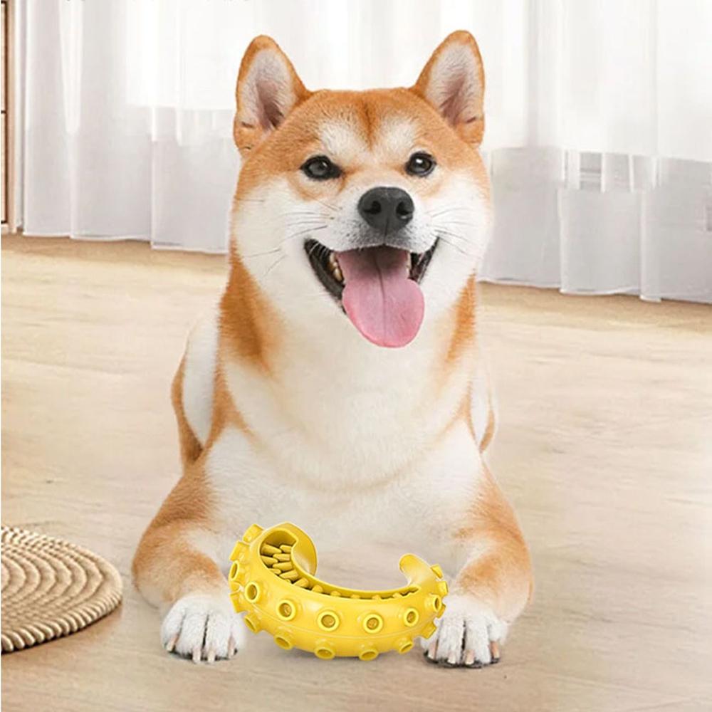 Tpr Haustier Hundespielzeug für kleine mittlere Hunde Bissfestes Hundekauspielzeug Hundezahnreinigung Spielzeug Haustierbedarf