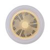 10.2in 30W E27 LED Ceiling Fan with Lights Remote 3 Level Wind Speed 3 Color Quiet Enclosed Ceiling