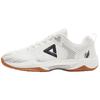 TaiChi Lingyu 1.0 Men's Badminton & Training Shoes