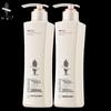 gentle smooth shampoo 500ml x 2 bottles