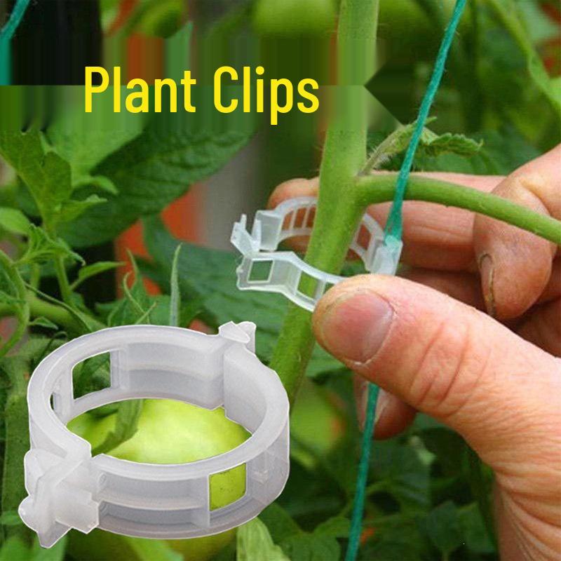 Greenhouse Vine Clip for Plant Support: Secure Your Vegetables, Fruits, and Vines with Ease
