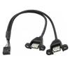 9PIN To USB Cable 9Pin 2.54mm 2.0mm To Dual USB2.0 A Female Plug Converter with Screw Hole Lock Panel for Motherboard Mount Cord
