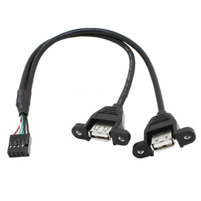 9PIN To USB Cable 9Pin 2.54mm 2.0mm To Dual USB2.0 A Female Plug Converter with Screw Hole Lock Panel for Motherboard Mount Cord