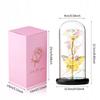 Ewige Mehrfarbige Rose im Glas Leuchtende LED Geschenk Regenbogen