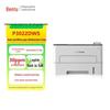 Pantum P3022DWS Mono Laser Printer CN Plug (adapter Included)