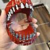 Multifunctional and Convenient Oral Modeling Denture Drill Bit Bracket Ornament Collection Gift Tool Box