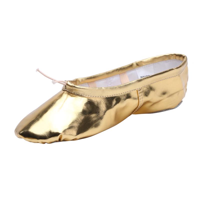 Women's Soft Sole Ballet & Dance Shoes - Gold/Silver, Cat Paw Design