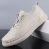 Men's Shoes 2025 Summer New Korean Version Trendy Leather Casual Shoes Teenagers Daily Classic Outdoor Versatile Board Shoes
