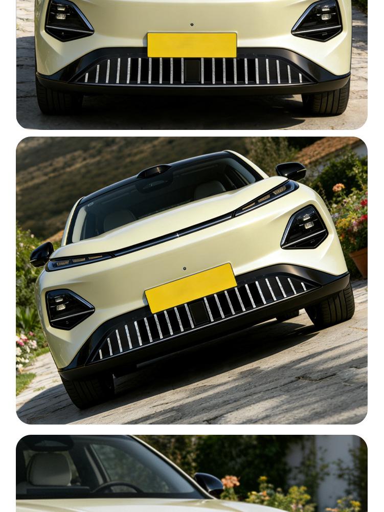 Insect-Proof Net Front Grille Protector for Changan Qiyuan Q05