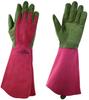 Towa Corporation WEST COUNTY ROSE West County Rose 431 Ruby XS
