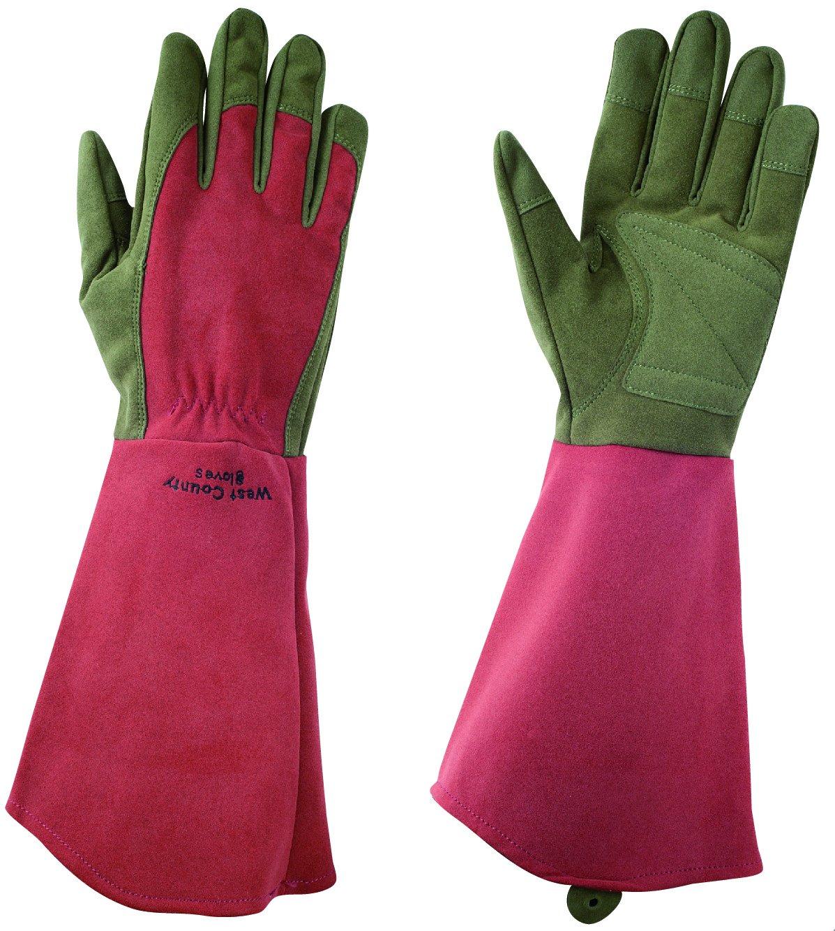 

Towa Corporation WEST COUNTY ROSE West County Rose 431 Ruby XS