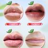Frucht-Sandwich Temperatur Lippenbalsam SADOER Hydratisierend Feuchtigkeitsspendend Temperatur Feuchtigkeitsspendender Lippenbalsam