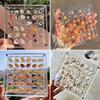 Seashell Display Box Acrylic Magnetic Diamond Display Case Acrylic Organizer Box Stackable Jewelry Gem Organizers Compartment