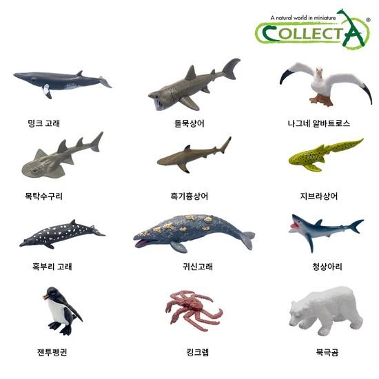 Collecta Mini Marine Animal Figures 12 Piece Set 3, Popular Toys In Korea