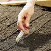 1pc/5pcs Injection Planter Seed Sowing Dispenser Manual Handheld Planter Mini Hand Spreader Garden Sowing and Fertilizing Tool